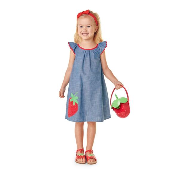 NWT Gymboree Blue Chambray W/Embroidered Strawberry Shift Dress - Picture 4 of 9